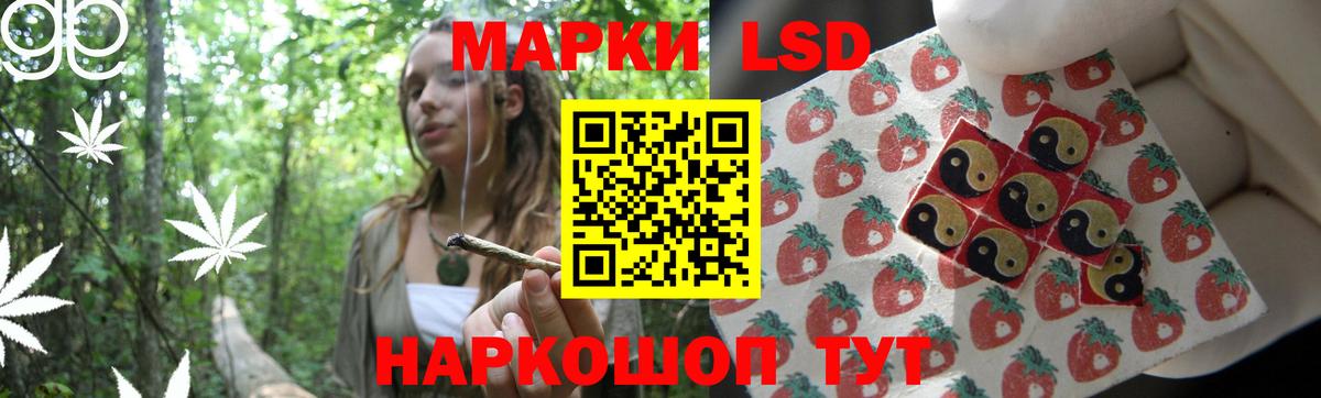 Новоалександровск  LSD-25 экстази кислота  Вход с VPN  LSD-25 экстази ecstasy 