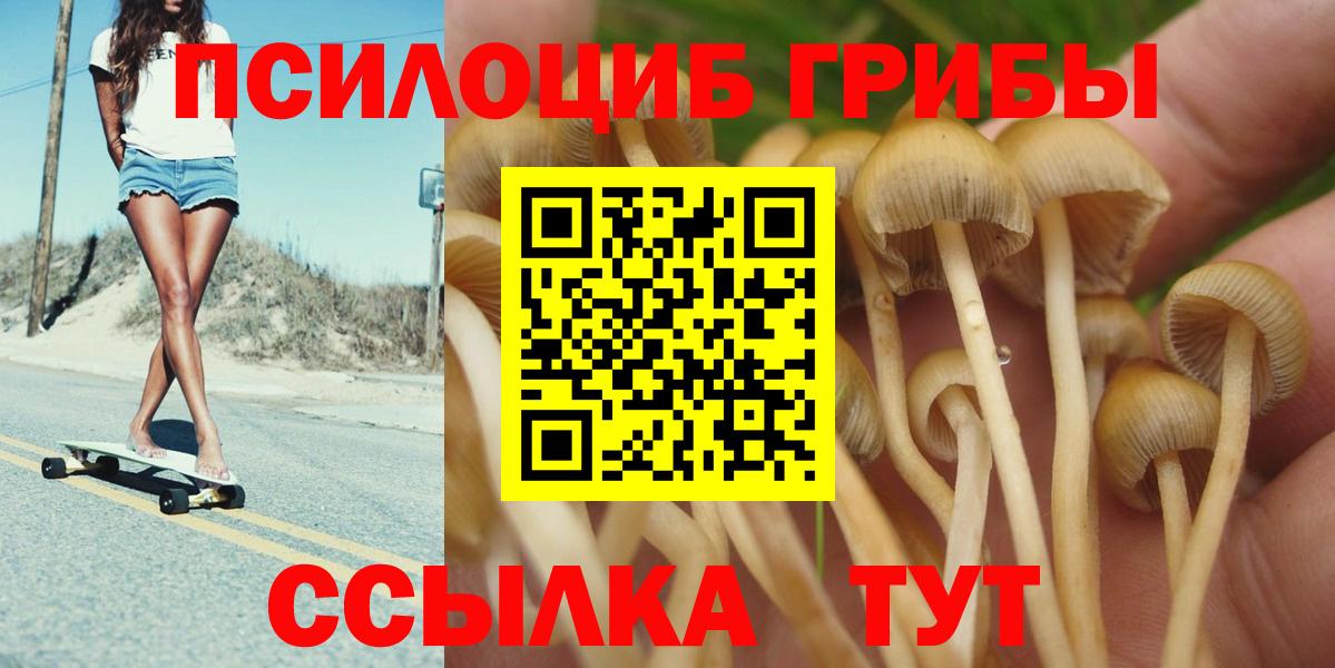 Псилоцибиновые грибы MAGIC MUSHROOMS Новоалександровск