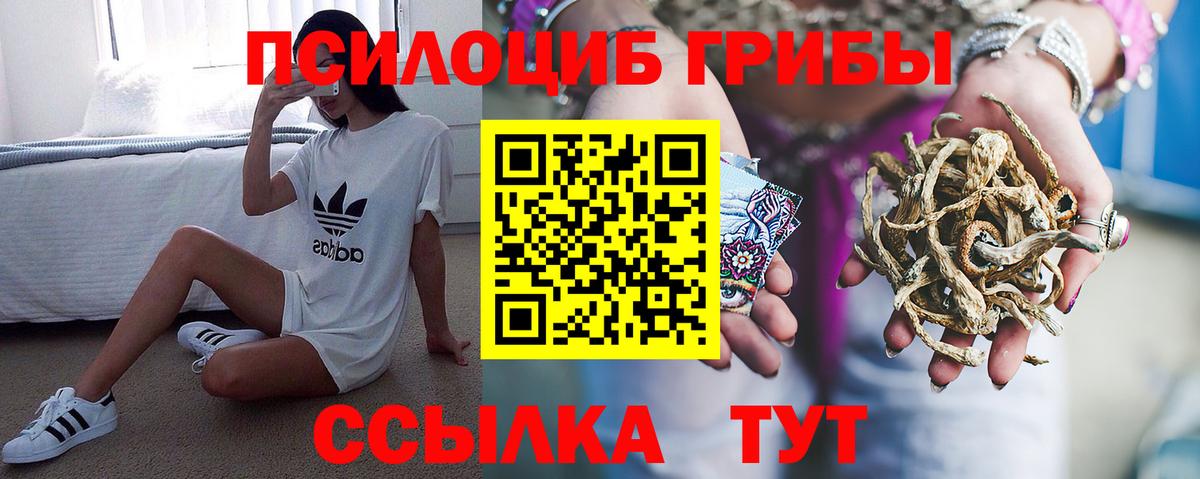 Псилоцибиновые грибы мицелий  Вход с VPN  Псилоцибиновые грибы Cubensis  Новоалександровск 