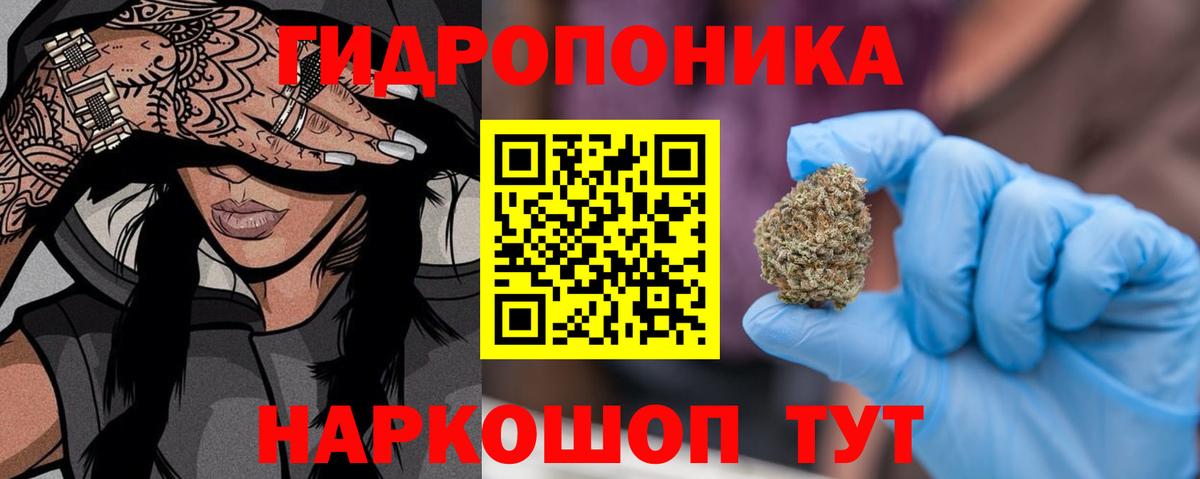 Бошки Шишки гибрид  Каннабис гибрид  Новоалександровск  Вход с VPN  Канабис VHQ  Конопля марихуана 